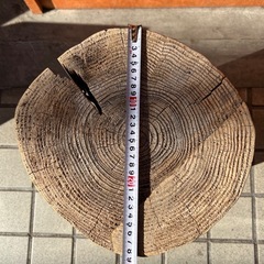 【観葉植物などの台におすすめ】木の丸太の画像