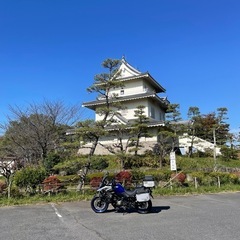 バイク仲間募集してます