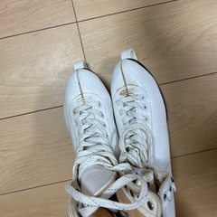 24cmアイススケートシューズの画像