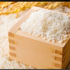 米　売ってください。