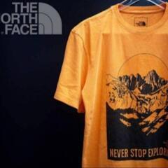 THE NORTH FACE Tシャツの画像