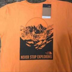 THE NORTH FACE Tシャツの画像