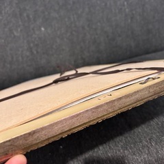 押し花額大の画像