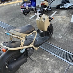 ズーマーの画像
