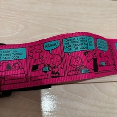 スーツケースベルトの画像