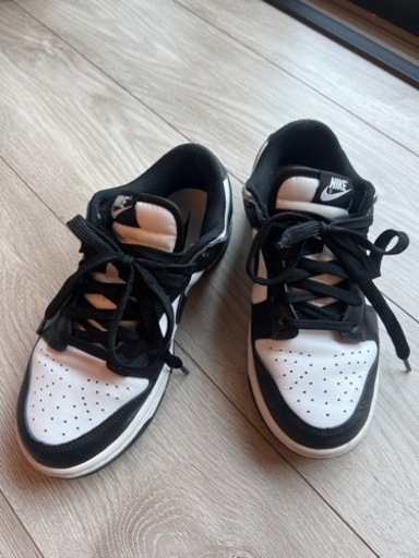 レディース Nike Dunk Low Retro 