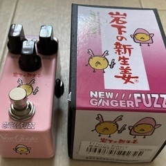 NEW GINGER FUZZ 岩下の新生姜 抜けの良いナチュラルなファズ　ベースにも使えますの画像