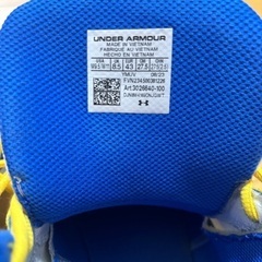 カリー　バッシュ