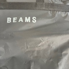 BEAMS スーツ入れ　収納　持ち運び用　保管可能の画像