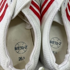 新品未使用 体育館シューズ　26.5の画像