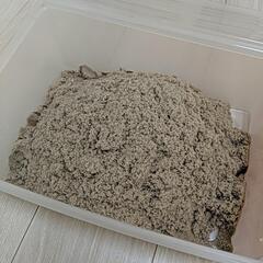 ダンシング・サンド スターターキットの画像