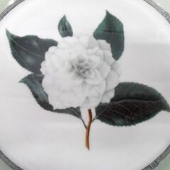 RHS 英国 王立園芸協会 アップルビー 大皿 希少 直径約27.5㎝ THE ROYAL HORTICULTURAL SOCIETY APPLEBEE COLLECTION 1枚 苫小牧西店 の画像