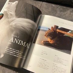 トラベル・フォトレシピブック　本　写真　カメラの画像
