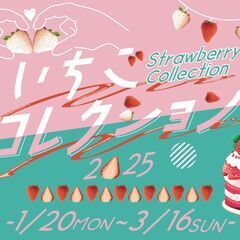 三島スカイウォーク　いちごコレクション2025