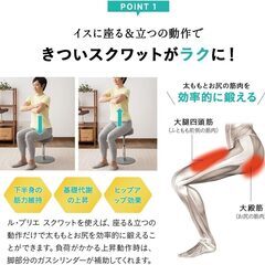 エムール MIZUNO ル・プリエ スクワット スクワット椅子の画像