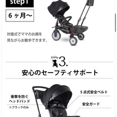 スマートトライク STR7 アーバンブラックの画像