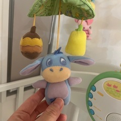 プーメリーの画像