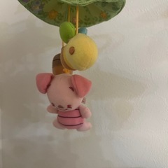 プーメリーの画像