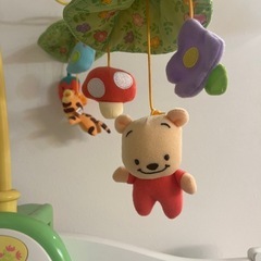 プーメリーの画像