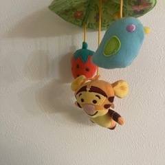 プーメリーの画像
