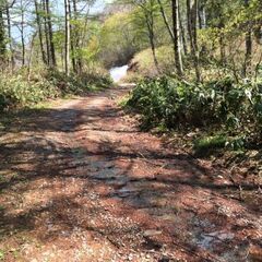 多良岳山系　ゆるい林道ツーリング　2回目🙂 - 諫早市