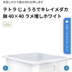 テトラ じょうろでキレイメダカ鉢 40×40 ラメ増しホワイト NEWの画像