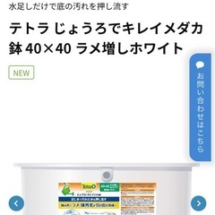 テトラ じょうろでキレイメダカ鉢 40×40 ラメ増しホワイト NEWの画像