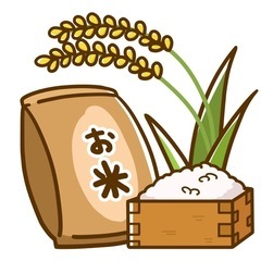 令和6年度玄米にこまる5kg熊本県産