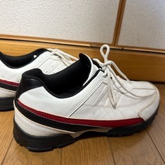 ゴルフシューズの画像