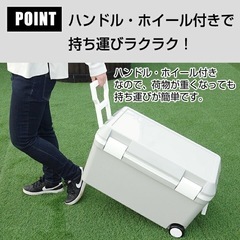 大容量クーラーボックスの画像
