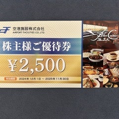 手渡し限定】 ブルーマンショー／チケット2枚／当日にて破格でお譲り！