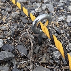 ペグ　20センチ　30本〜　　の画像