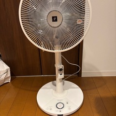 シャープ　プラズマクラスター　扇風機　