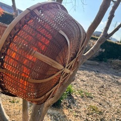 （外用）　竹籠　クラフト　水くみバケツまとめて出品です
　の画像
