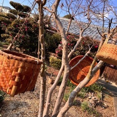 （外用）　竹籠　クラフト　水くみバケツまとめて出品です
　の画像