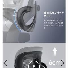 SIHOO M102C オフィスチェア 独立式ランバーサポートの画像