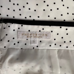 スカートproportion の画像