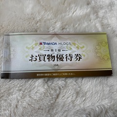 ヤマダ電機　株主優待券　500円✖︎2枚 1000円分