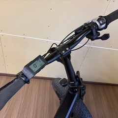 MATE X BIKE　(750w)の画像