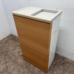 サンデン SANDEN 業務用 冷凍ストッカー 46L フリーザー 厨房