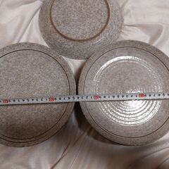 直径24センチのお皿　10枚　一度使用のみ