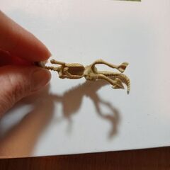 恐竜　化石　おもちゃの画像