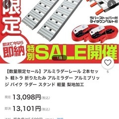 受け渡し予定者決定済　ラダーレール　2本セットの画像