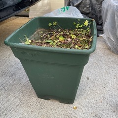 配送🚚無料【すぐ始められます❗️】植木鉢🪴10個ほどの画像