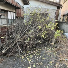  お困りの放置空地や山林・雑種地はありませんか？！ - その他