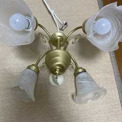 最終値下げ天井照明 の画像