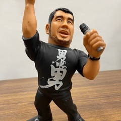 HAOコレクション 高田延彦