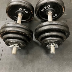 ダンベル30kg✖️2 ワイルドフィット製