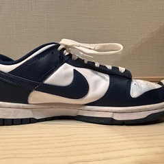 Nike Dunk Low Valerian Blue の画像