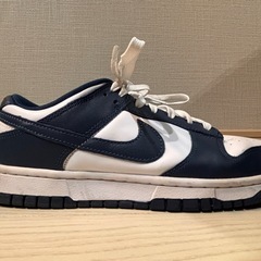 Nike Dunk Low Valerian Blue の画像